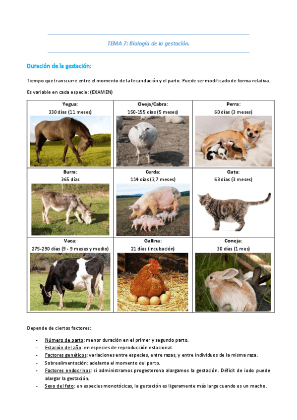 Miniatura del documento REPRODUCCION-7-14.pdf