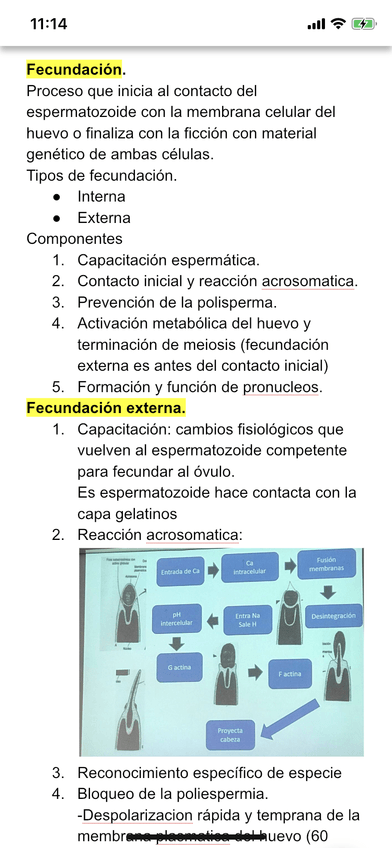 Miniatura del documento 82A685B7-CB18-4D33-8E4F-C9E6817ABA61.png