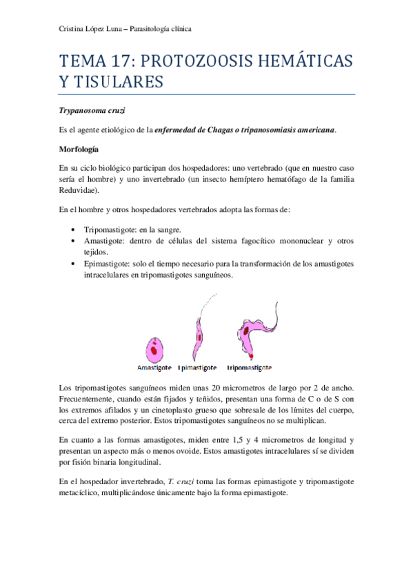 Miniatura del documento TEMA 17 PARA.pdf