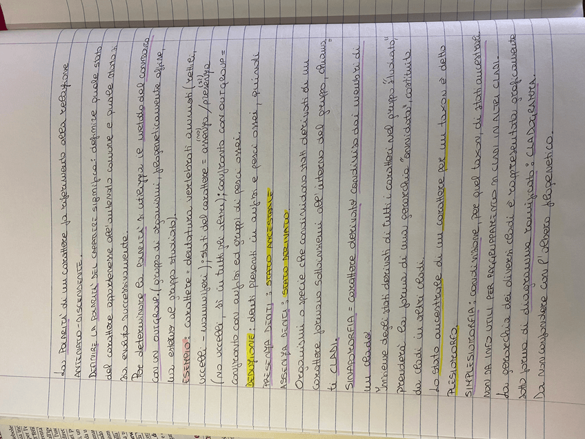 Miniatura del documento F191D770-D767-4C4F-AF3F-F62C1ED19C1B.jpg