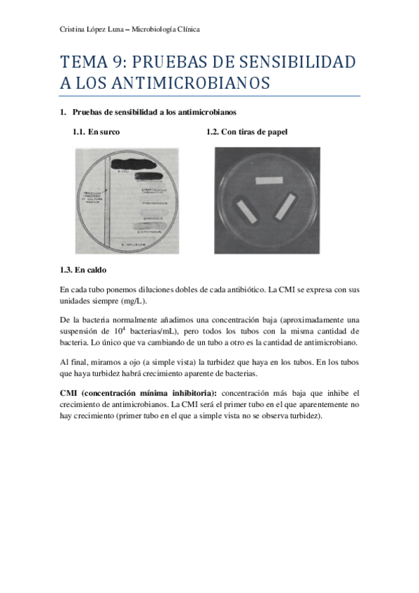 Miniatura del documento TEMA 9 MICRO.pdf