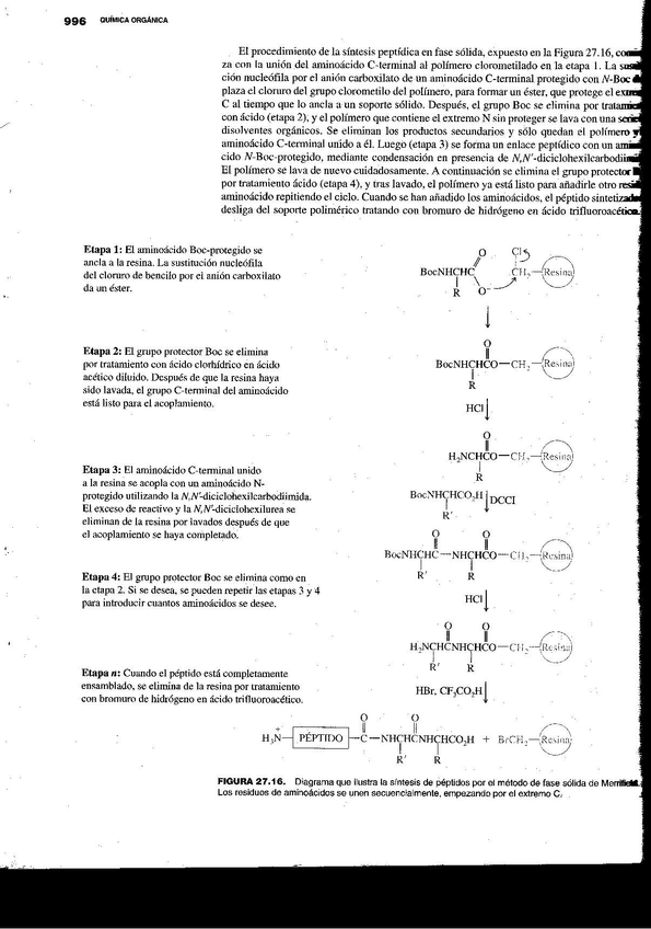 Miniatura del documento sint.merrified.jpg
