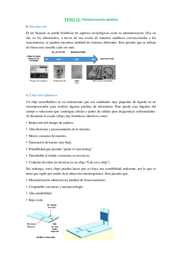Miniatura del documento TEMA-12-Miniaturizacion.docx