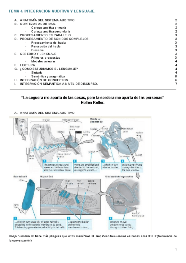 Miniatura del documento TEMA-4.pdf