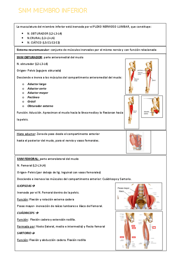 Miniatura del documento SNM-MIEMBRO-INFERIOR.pdf