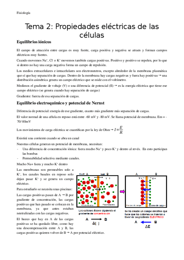 Miniatura del documento Tema-2-Propiedades-electricas-de-las-celulas.docx