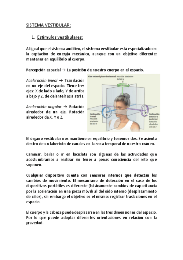 Miniatura del documento PSICOFISIO-TEMA-4-PART-2.pdf