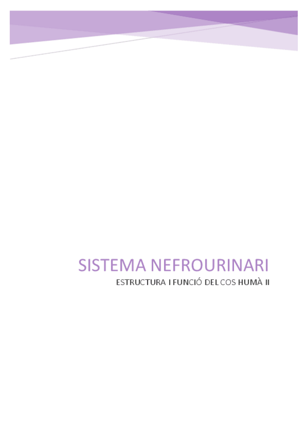 Miniatura del documento Sistema-nefrourinari.pdf