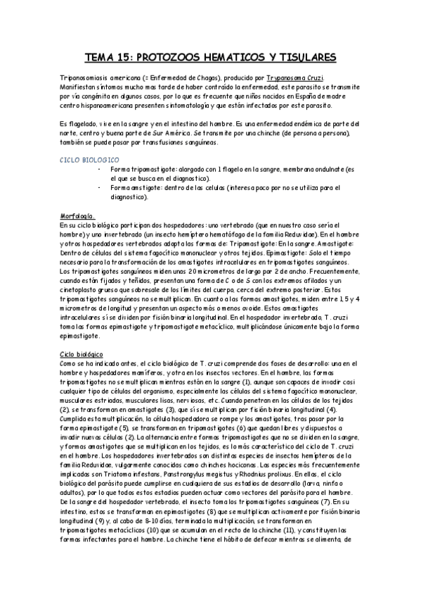 Miniatura del documento TEMA 15.pdf