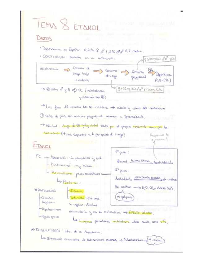 Miniatura del documento T8-Etanol.pdf