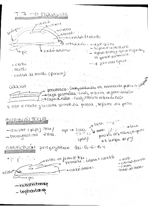 Miniatura del documento zoo7.pdf
