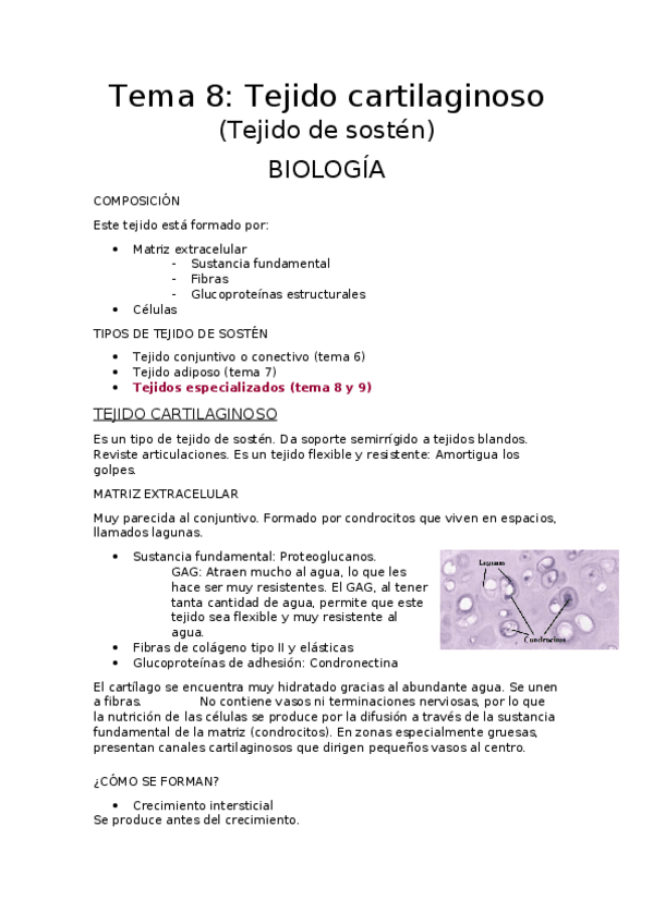 Miniatura del documento Tema 8 tejido cartilaginoso.docx