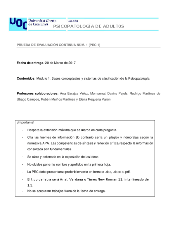Miniatura del documento Feedback-PEC1.docx