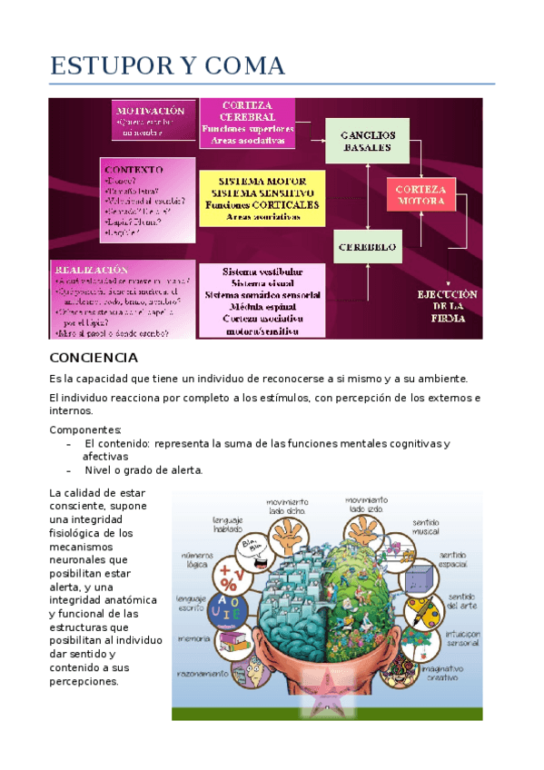 Miniatura del documento 9ESTUPOR-Y-COMA.docx