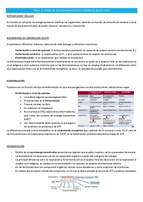 Miniatura del documento Microbiologia-TEMA-9.pdf