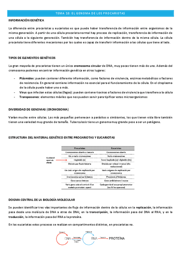 Miniatura del documento Microbiologia-TEMA-10.pdf