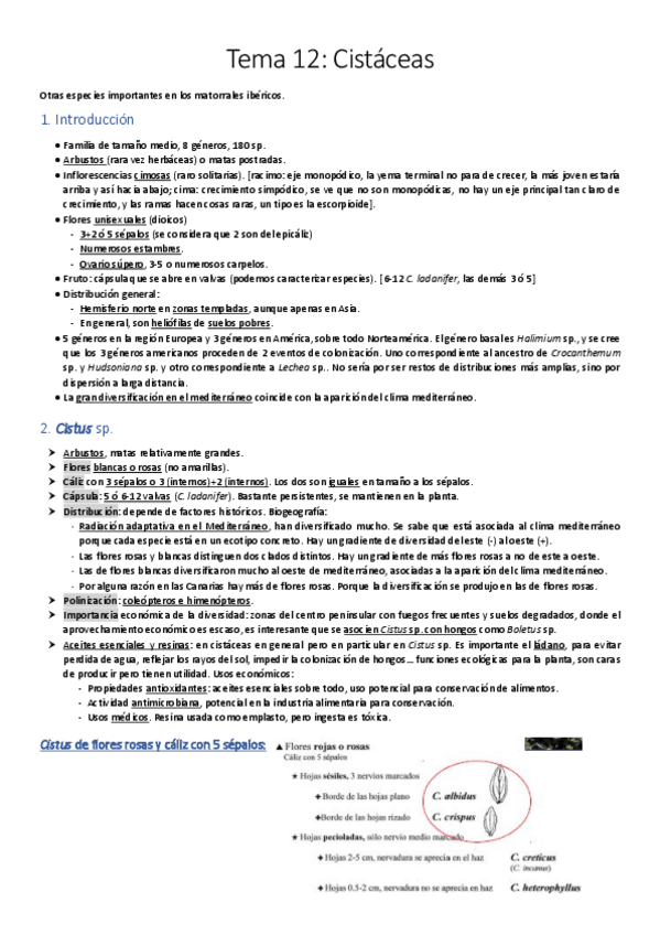 Miniatura del documento -Tema-12.pdf