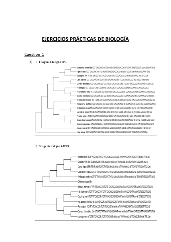 Miniatura del documento Practicas-informatica-Biologia.pdf