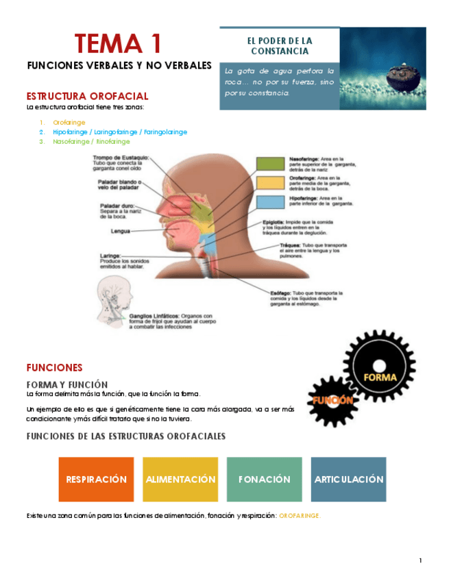 Miniatura del documento Tema-1.pdf
