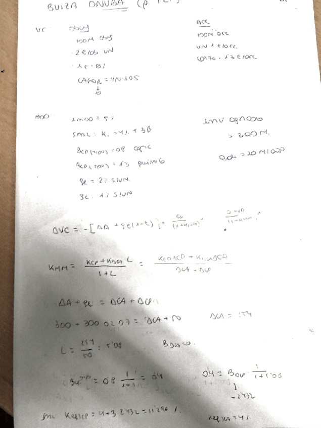 Miniatura del documento Buiza Onuba.pdf