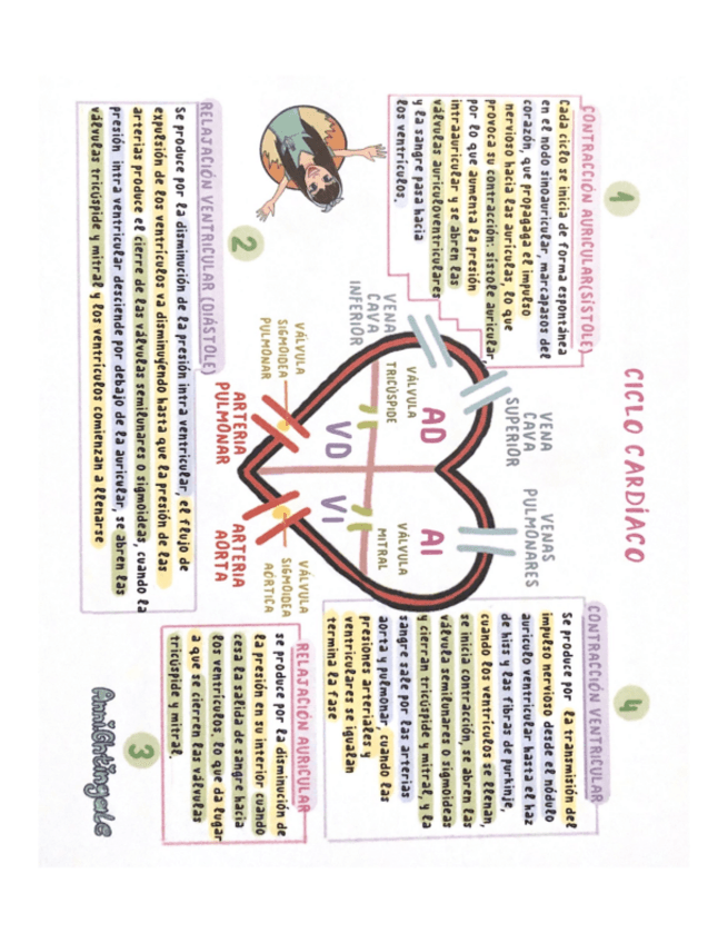 Miniatura del documento Provocat.pdf