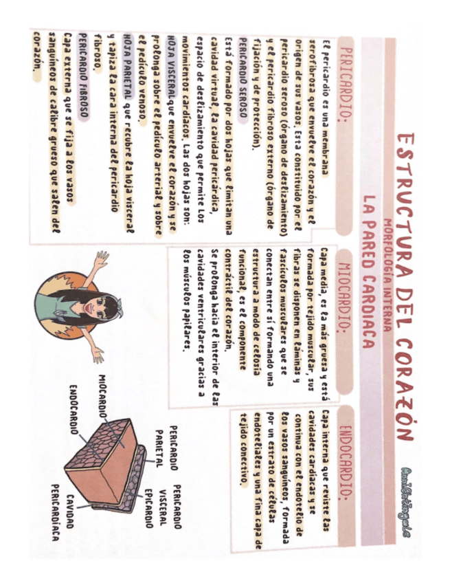 Miniatura del documento sanguineos.pdf