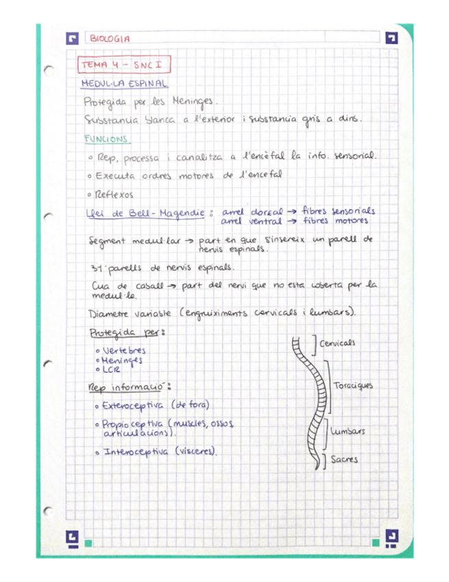 Miniatura del documento Biologia-temas-45.pdf