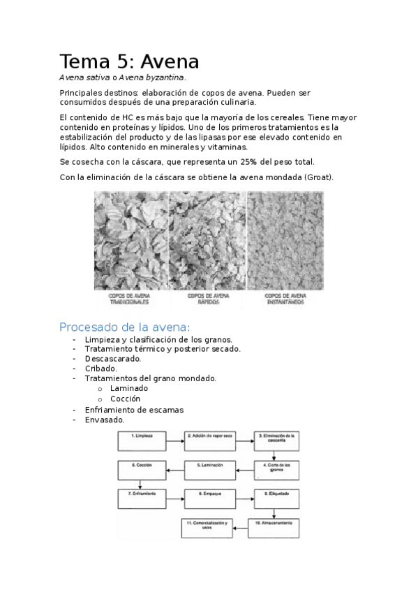 Miniatura del documento Tema-5.docx