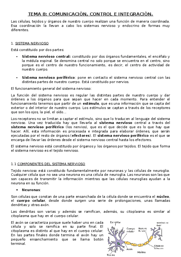 Miniatura del documento TEMA-8-CELIA.docx