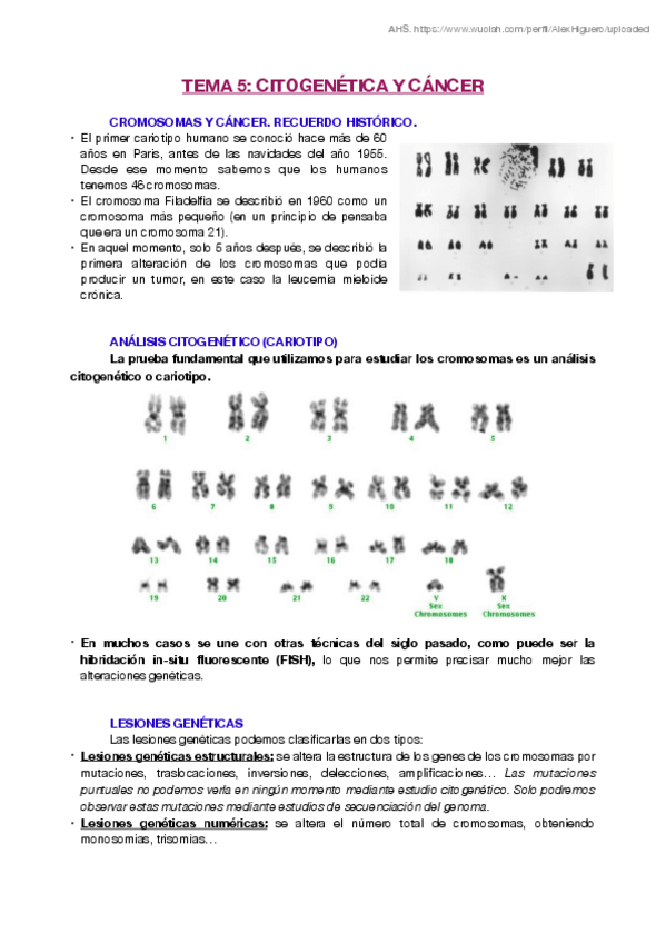 Miniatura del documento T5.pdf