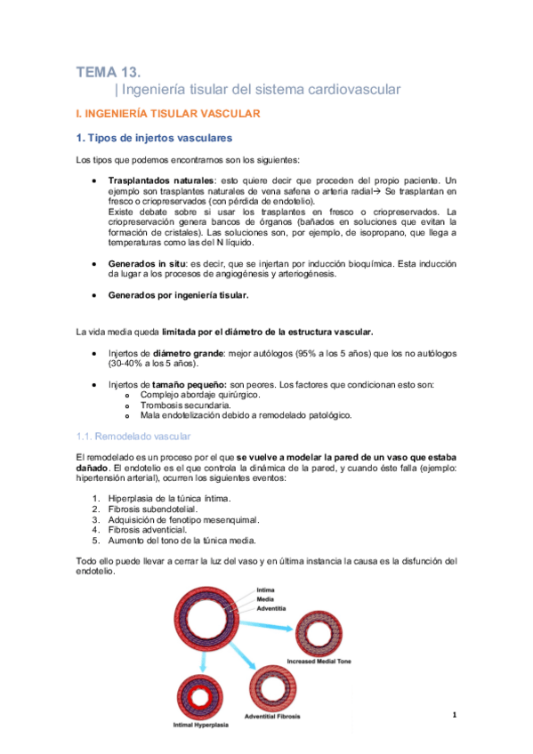 Miniatura del documento Tema-13.pdf