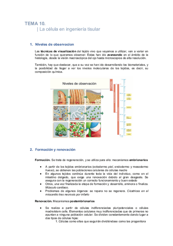 Miniatura del documento TEMA-10.pdf