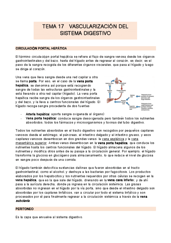 Miniatura del documento TEMA-17-anatomia.pdf