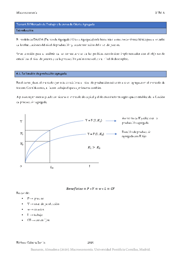Miniatura del documento Macroeconomia-Tema-6.pdf