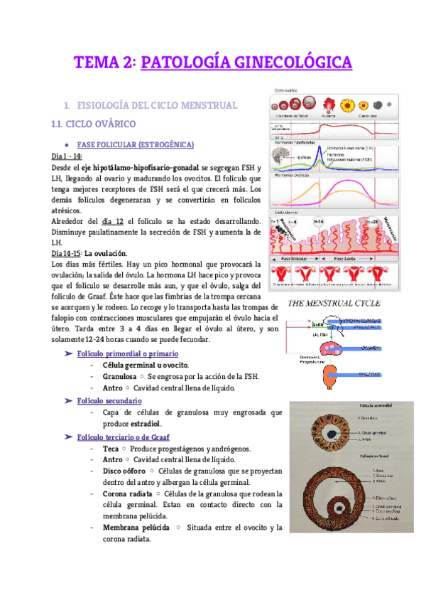 Miniatura del documento Tema-2.pdf
