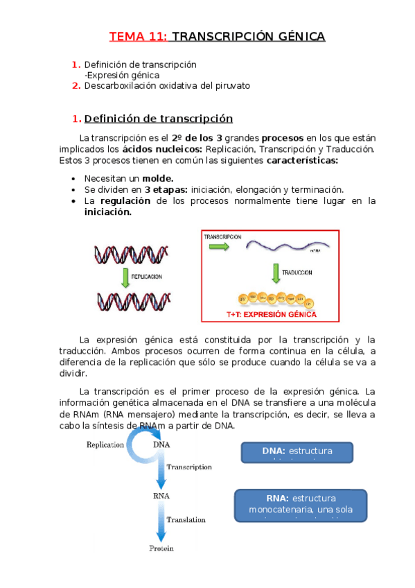 Miniatura del documento Tema-11.docx