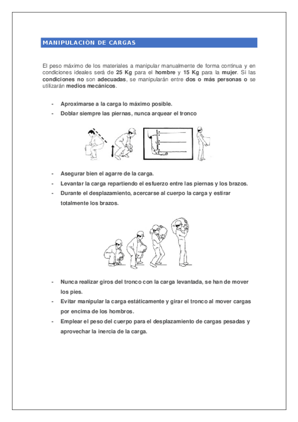 Miniatura del documento Manipulcion-de-cargas.docx