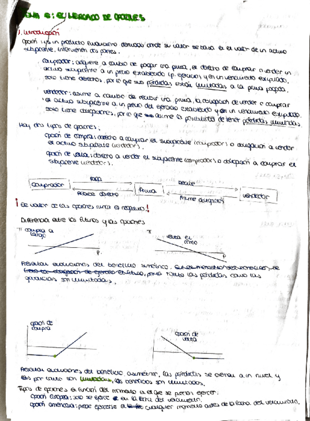 Miniatura del documento resumen-tema-6.pdf