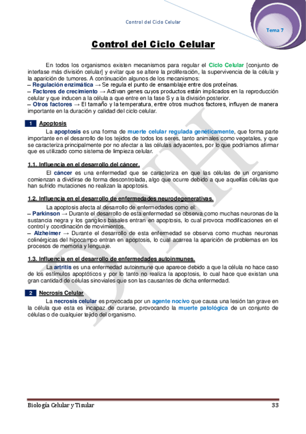 Miniatura del documento 7.pdf