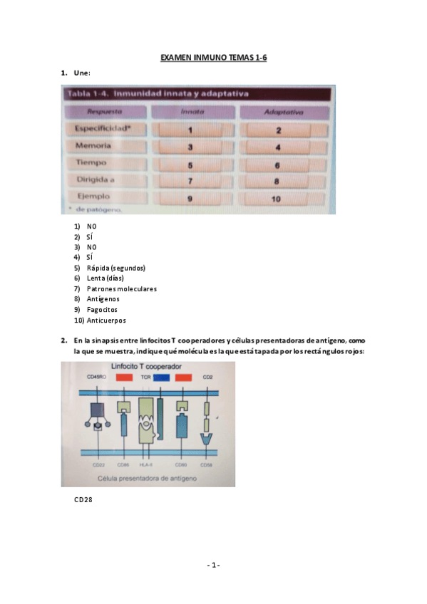 Miniatura del documento Examen-Inmuno-temas-1-6.pdf
