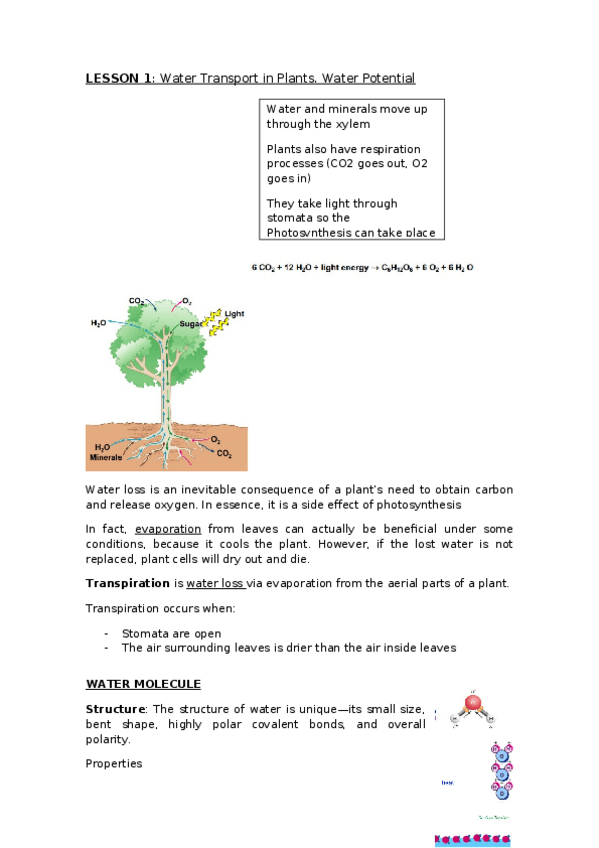 Miniatura del documento LESSON-1-water-potential.docx