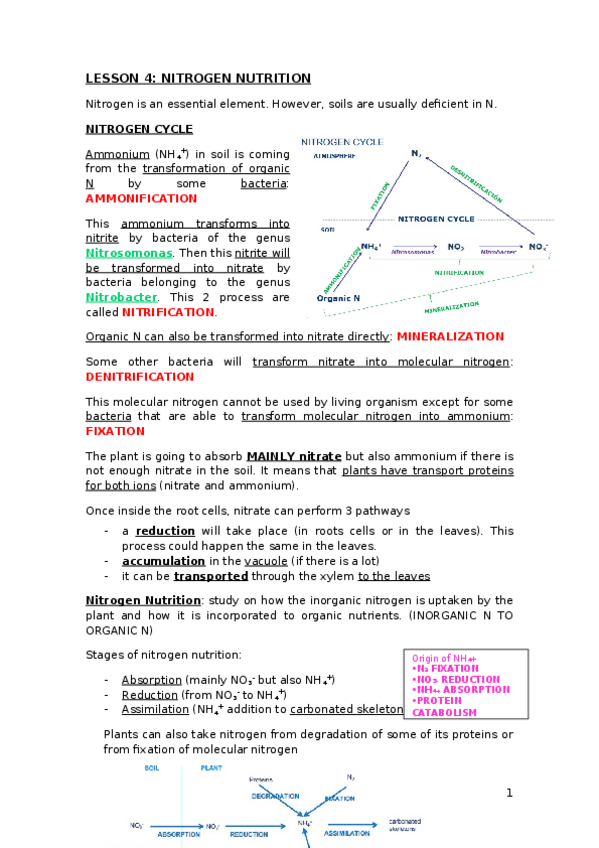 Miniatura del documento LESSON-4-nitrogen-nutrition.docx