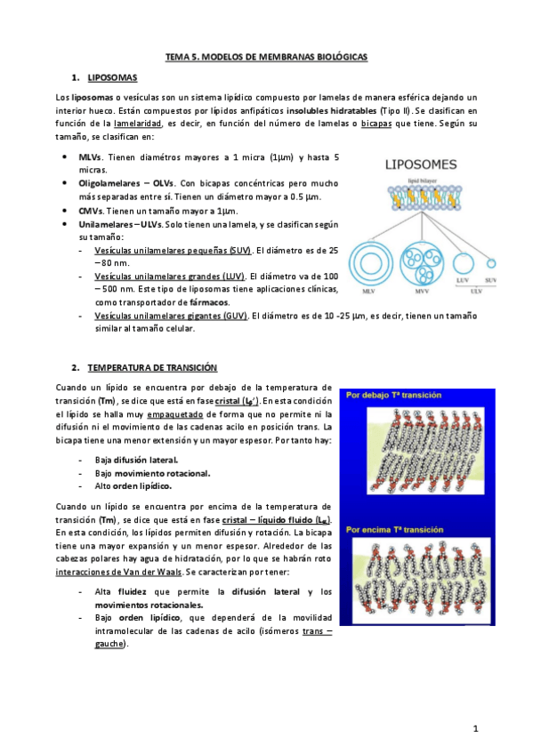 Miniatura del documento TEMA-5.pdf