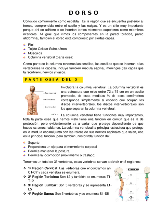 Miniatura del documento Dorso.docx
