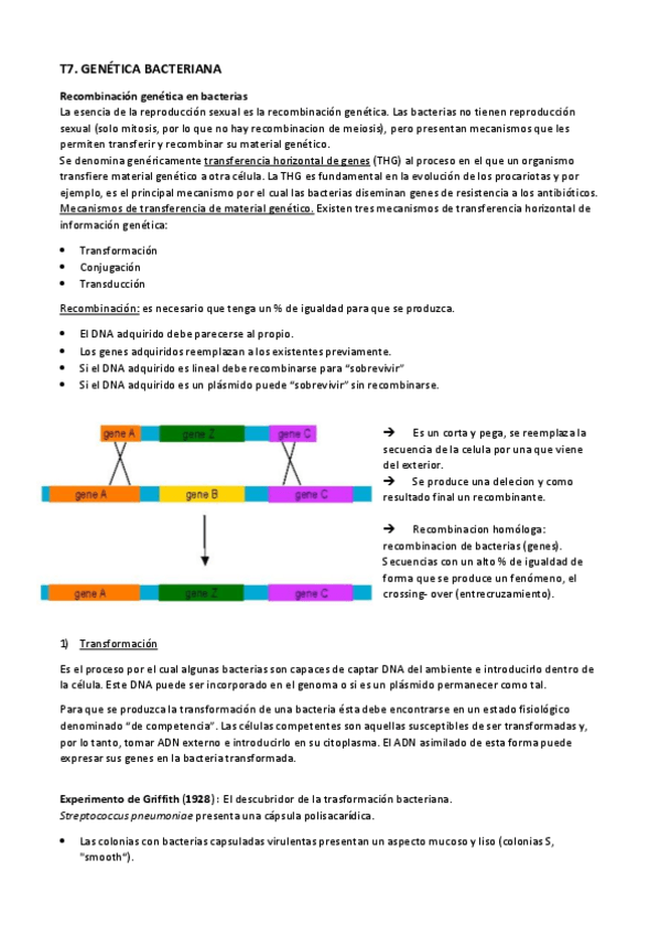 Miniatura del documento TEMA-7.pdf