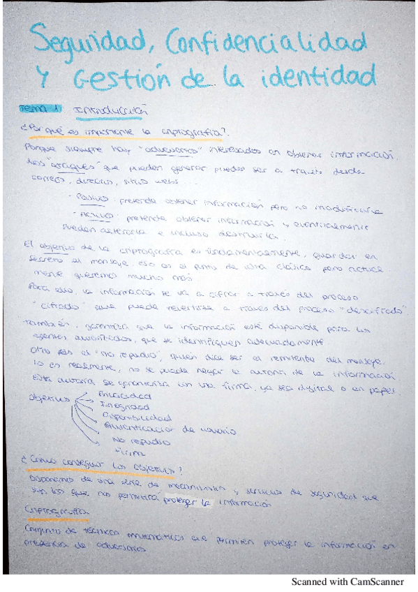Miniatura del documento tema-1-scgi.pdf
