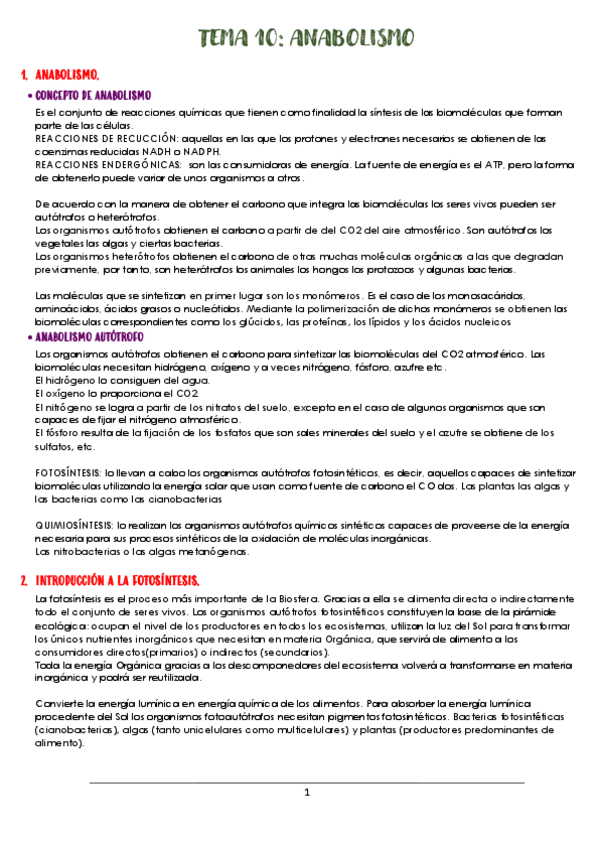 Miniatura del documento TEMA-10-ANABOLISMO.pdf