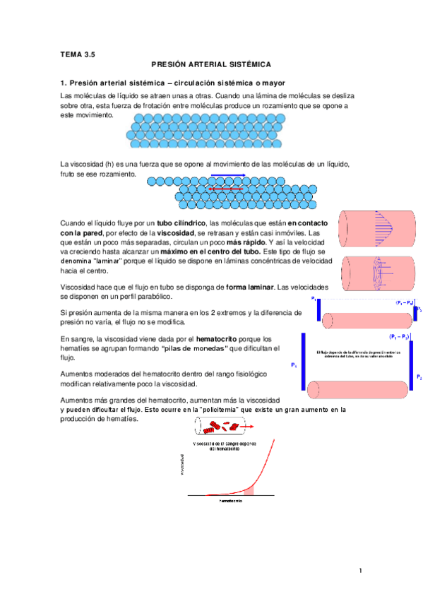 Miniatura del documento Tema 3.5 Presion arterial sistemica