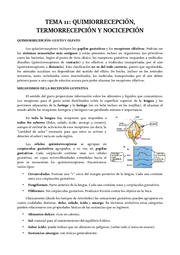 Miniatura del documento TEMA-11.pdf