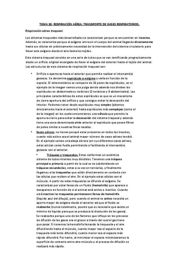 Miniatura del documento Tema-10-apuntes-completos.pdf